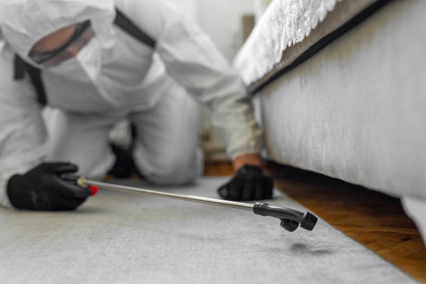 Professional Bed Bug Control technician working in Redway, CA