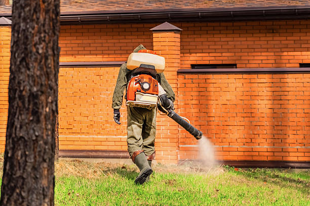 Top rated local Bed Bug Control specialists in Redway, CA